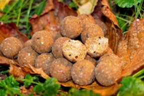 produktfoto-italian-orange-boilie-kaufen