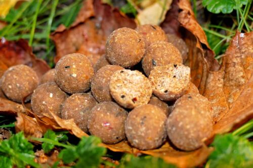 produktfoto-italian-orange-boilie-kaufen
